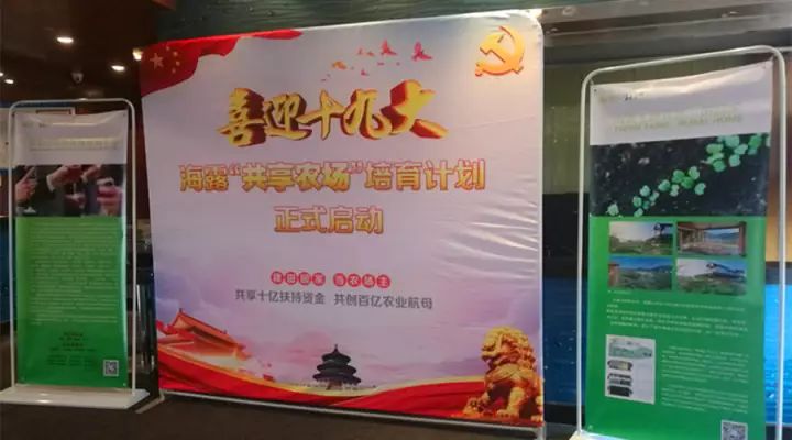 �Ϲ��羺-�����ɾͷǷ�,����Ʒ�Ƶ�����