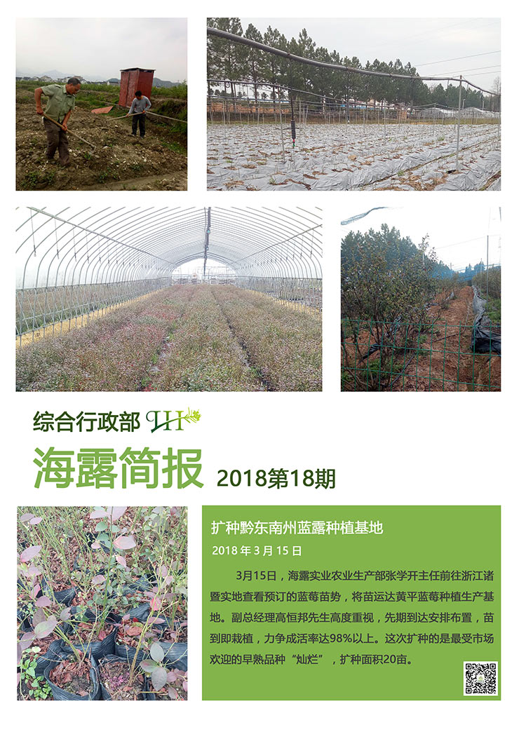 �Ϲ��羺-�����ɾͷǷ�,����Ʒ�Ƶ�����