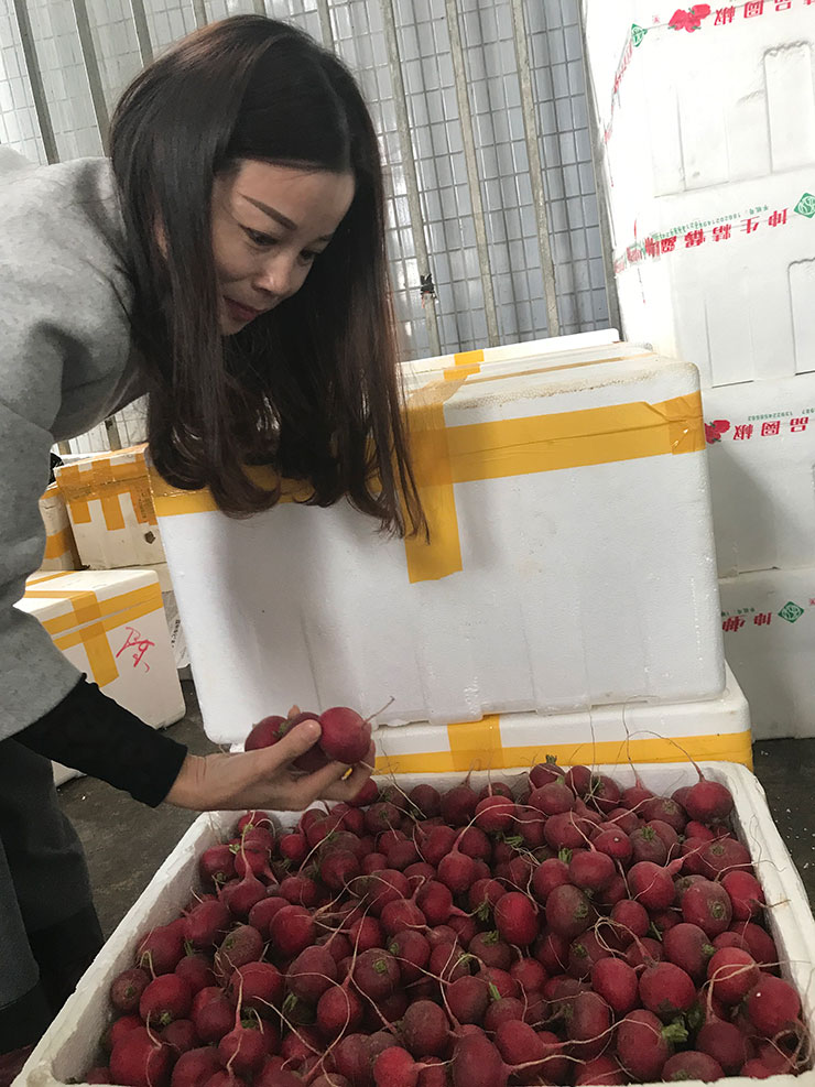 �Ϲ��羺-�����ɾͷǷ�,����Ʒ�Ƶ�����