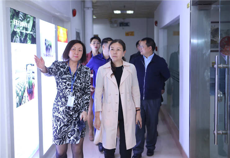 �Ϲ��羺-�����ɾͷǷ�,����Ʒ�Ƶ�����