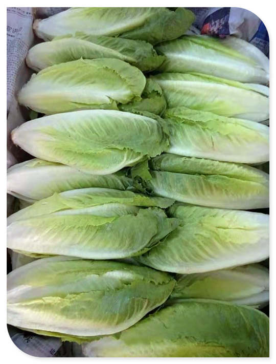 �Ϲ��羺-�����ɾͷǷ�,����Ʒ�Ƶ�����