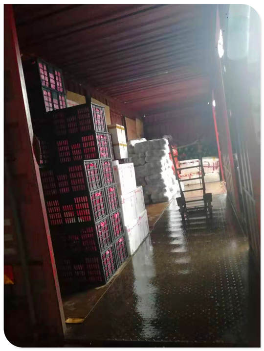 �Ϲ��羺-�����ɾͷǷ�,����Ʒ�Ƶ�����