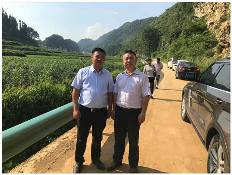 �Ϲ��羺-�����ɾͷǷ�,����Ʒ�Ƶ�����