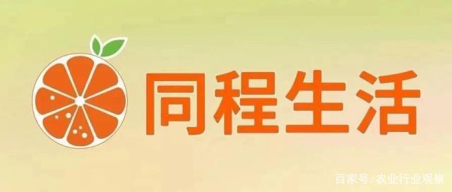 �Ϲ��羺-�����ɾͷǷ�,����Ʒ�Ƶ�����