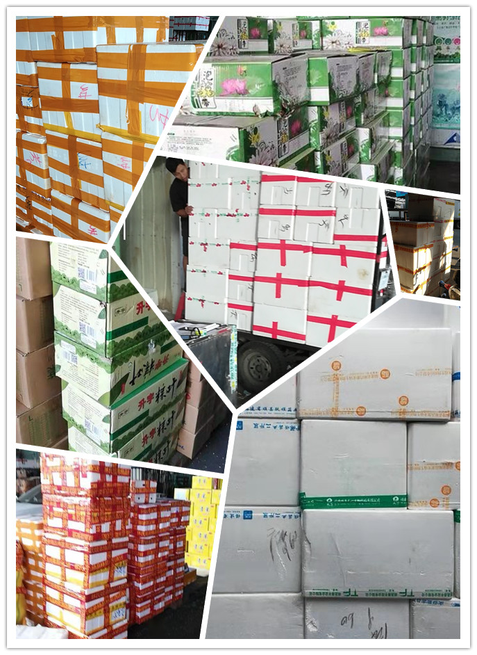 �Ϲ��羺-�����ɾͷǷ�,����Ʒ�Ƶ�����