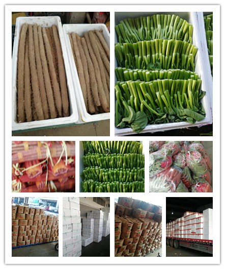 �Ϲ��羺-�����ɾͷǷ�,����Ʒ�Ƶ�����