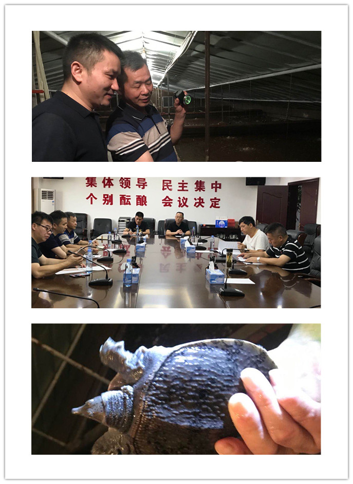 �Ϲ��羺-�����ɾͷǷ�,����Ʒ�Ƶ�����