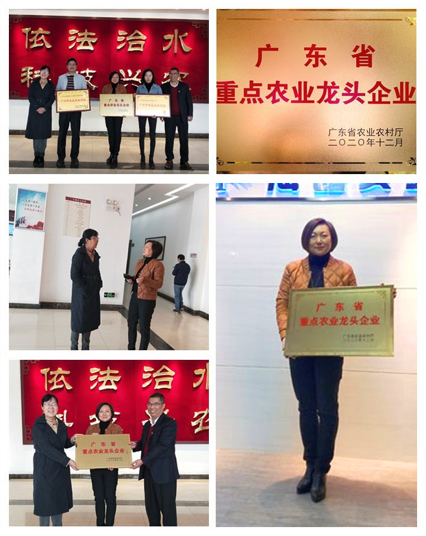 �Ϲ��羺-�����ɾͷǷ�,����Ʒ�Ƶ�����