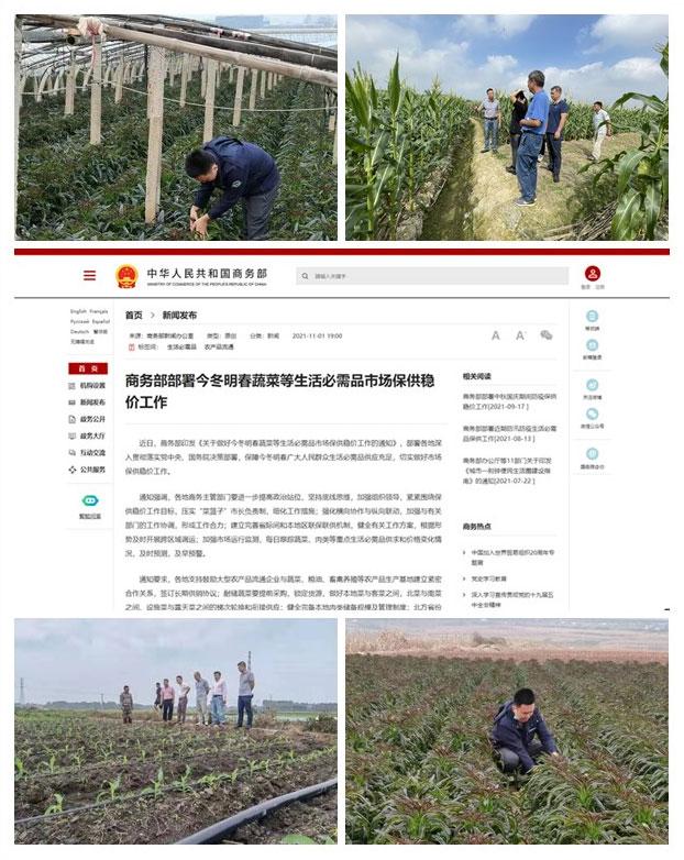 �Ϲ��羺-�����ɾͷǷ�,����Ʒ�Ƶ�����