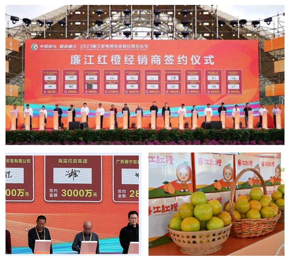 �Ϲ��羺-�����ɾͷǷ�,����Ʒ�Ƶ�����