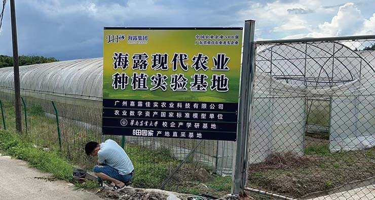 �Ϲ��羺-�����ɾͷǷ�,����Ʒ�Ƶ�����
