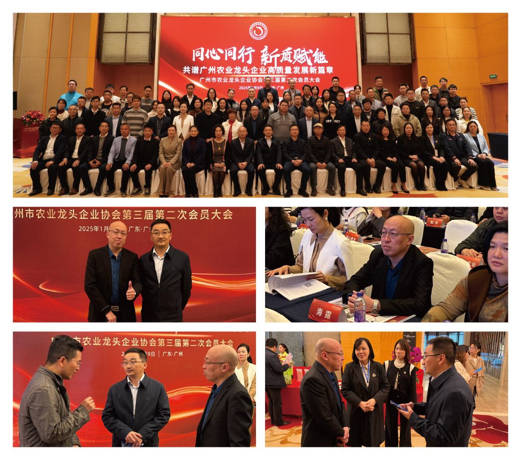 �Ϲ��羺-�����ɾͷǷ�,����Ʒ�Ƶ�����