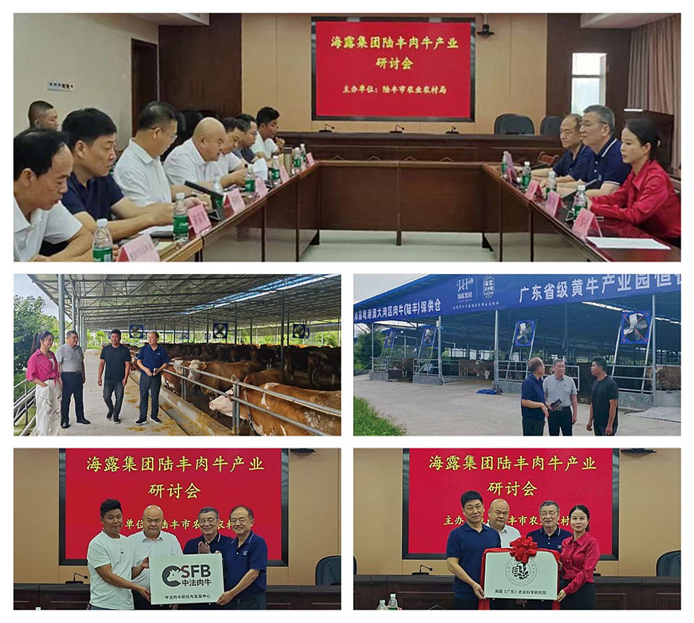 �Ϲ��羺-�����ɾͷǷ�,����Ʒ�Ƶ�����