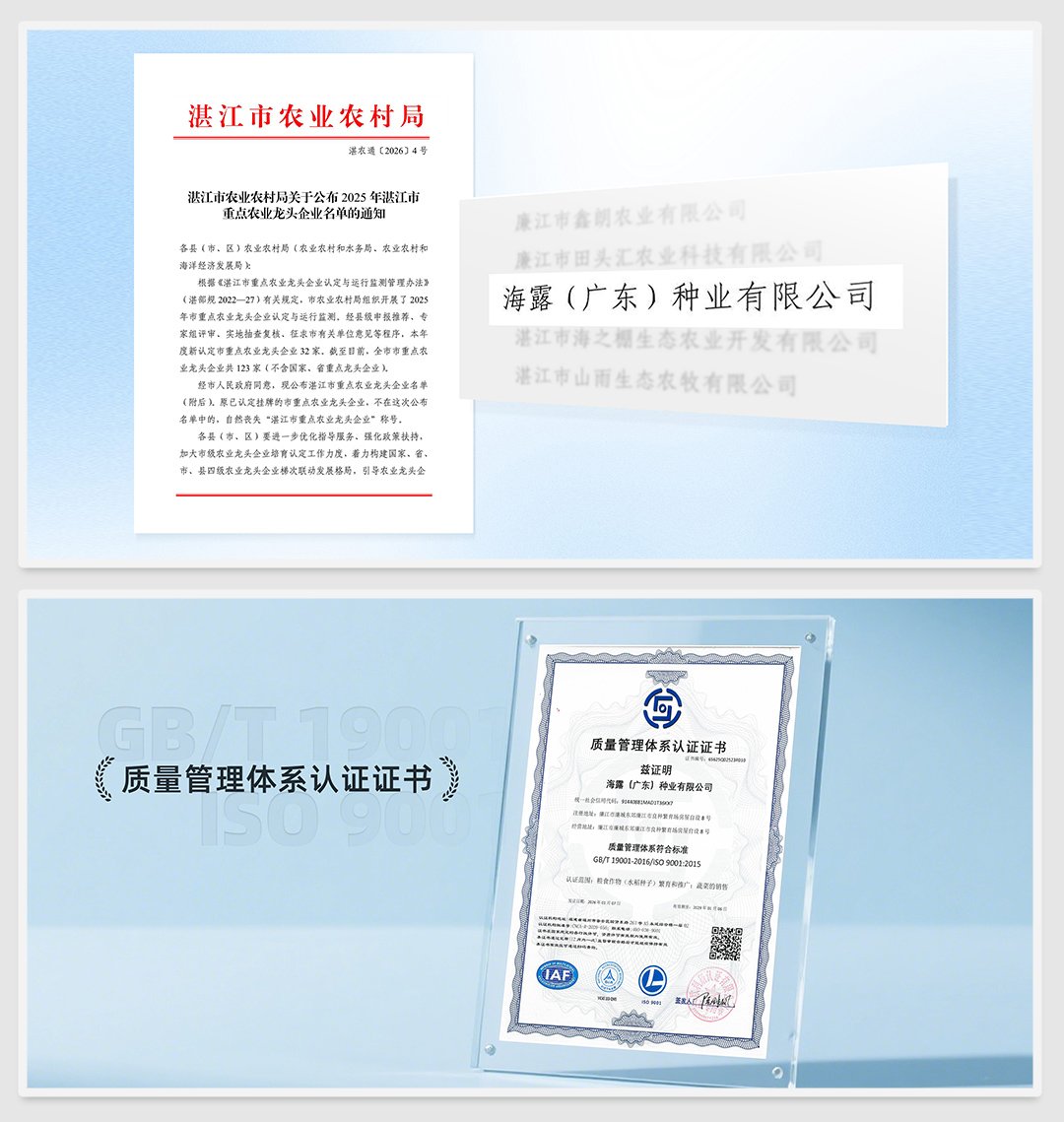 �Ϲ��羺-�����ɾͷǷ�,����Ʒ�Ƶ�����